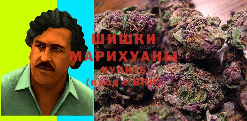 как найти закладки  Сосновка  МАРИХУАНА THC 21% 